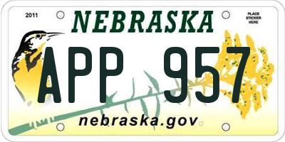 NE license plate APP957