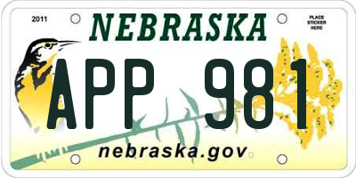NE license plate APP981