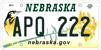 NE license plate APQ222