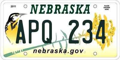 NE license plate APQ234