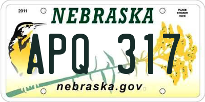 NE license plate APQ317
