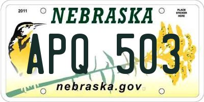 NE license plate APQ503