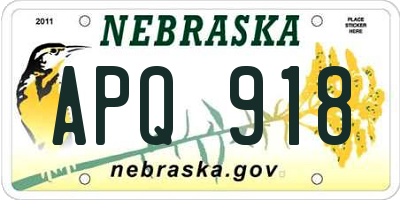 NE license plate APQ918
