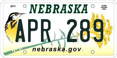 NE license plate APR289