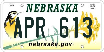 NE license plate APR613