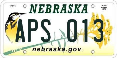 NE license plate APS013
