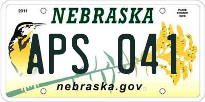 NE license plate APS041