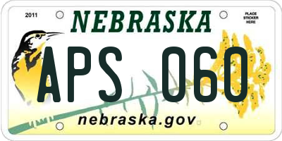 NE license plate APS060