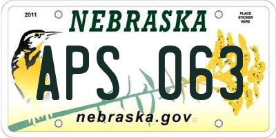 NE license plate APS063