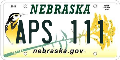 NE license plate APS111