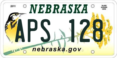 NE license plate APS128