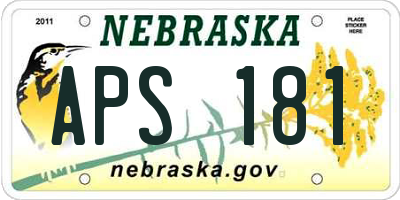 NE license plate APS181