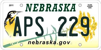 NE license plate APS229