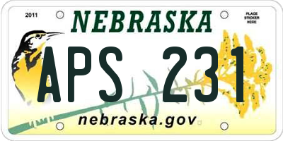 NE license plate APS231