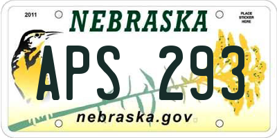 NE license plate APS293