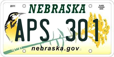 NE license plate APS301