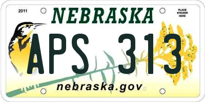 NE license plate APS313