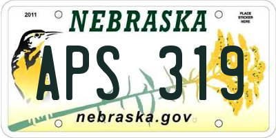 NE license plate APS319