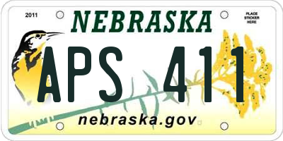 NE license plate APS411