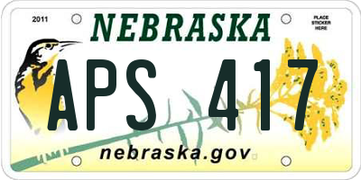 NE license plate APS417