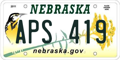 NE license plate APS419