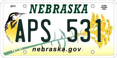 NE license plate APS531
