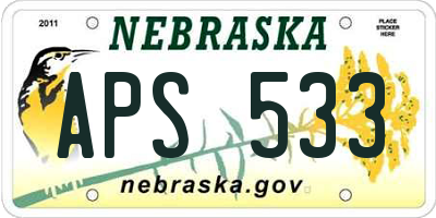 NE license plate APS533