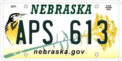 NE license plate APS613