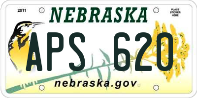 NE license plate APS620