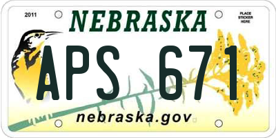 NE license plate APS671