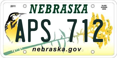 NE license plate APS712