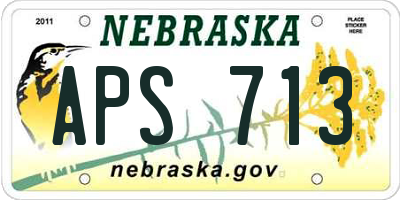 NE license plate APS713