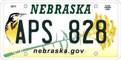 NE license plate APS828