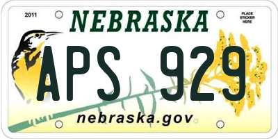 NE license plate APS929