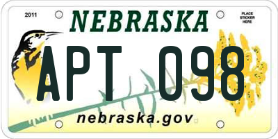 NE license plate APT098