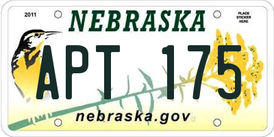 NE license plate APT175