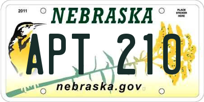 NE license plate APT210