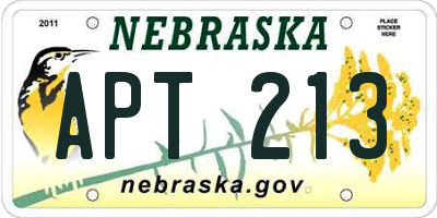 NE license plate APT213