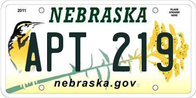 NE license plate APT219