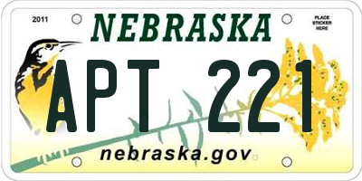 NE license plate APT221