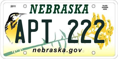 NE license plate APT222
