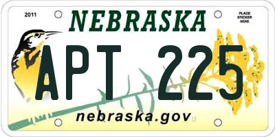 NE license plate APT225