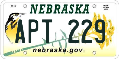 NE license plate APT229