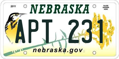 NE license plate APT231