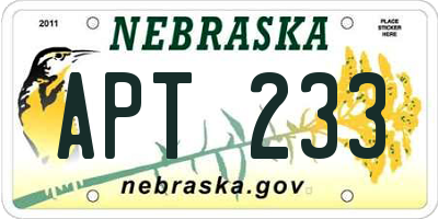 NE license plate APT233