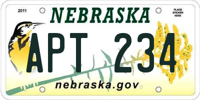 NE license plate APT234