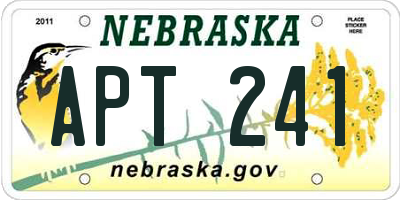 NE license plate APT241