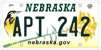 NE license plate APT242