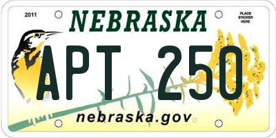 NE license plate APT250