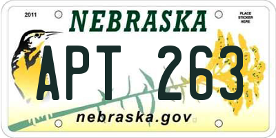 NE license plate APT263